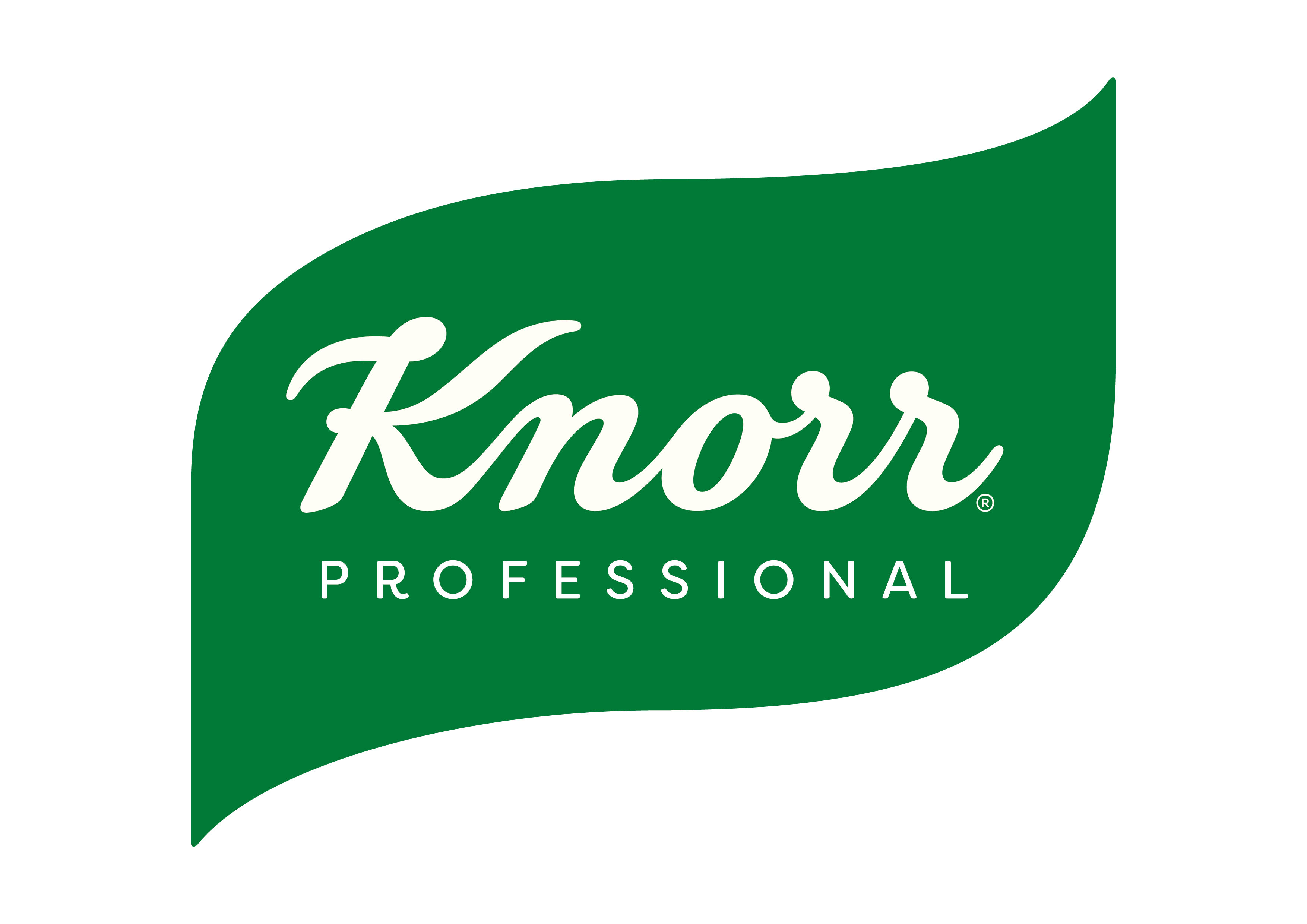 Knorr Profesionnal